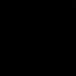 Meet your Posher, Sonia